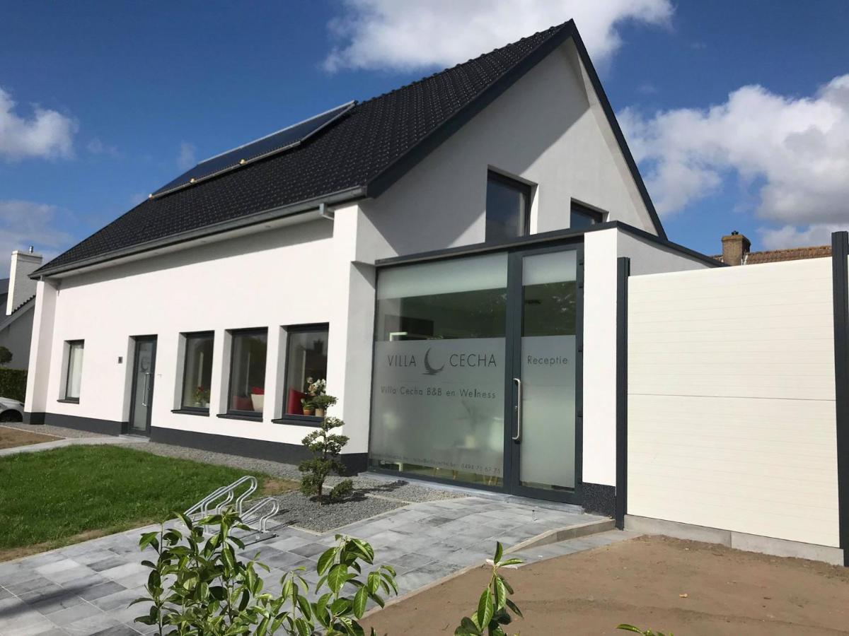 Villa Cecha B&B &Wellness Oostende Exterior foto